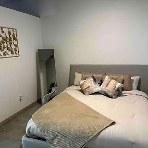 Luxury Cozy Loft Downtown Stl Apartment